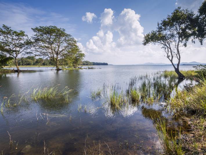 Minneriya reservoir landscape - Sri Lanka - On The Go Tours