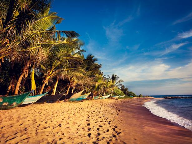 Stunning sunset staining the sky purple and orange at the beach in Weligama