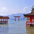 Sunset behind the iconic Miyajima monument that stands in the water