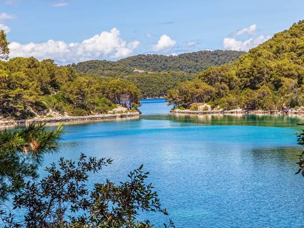 Perfect turquoise water speckled with islands, covered in thick, green foliage