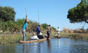 Mokoro ride in Okavango Delta - Botswana safaris - On the Go Tours