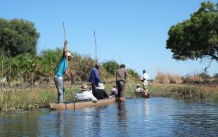 Mokoro ride in Okavango Delta - Botswana safaris - On the Go Tours