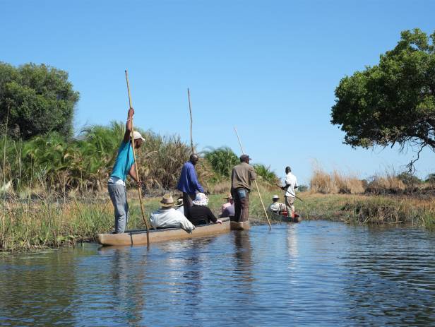 Mokoro boat gliding along the Okavango River