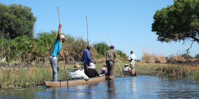 Paddling mokoro canoes in the Okavango Delta | Botswana