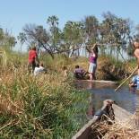 Mokoros in the Okavango Delta | Botswana
