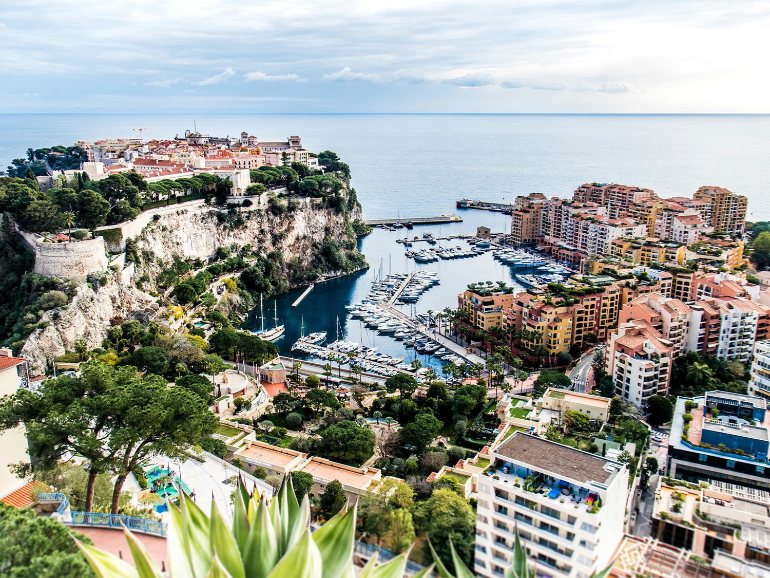 Day 6 - Cannes
