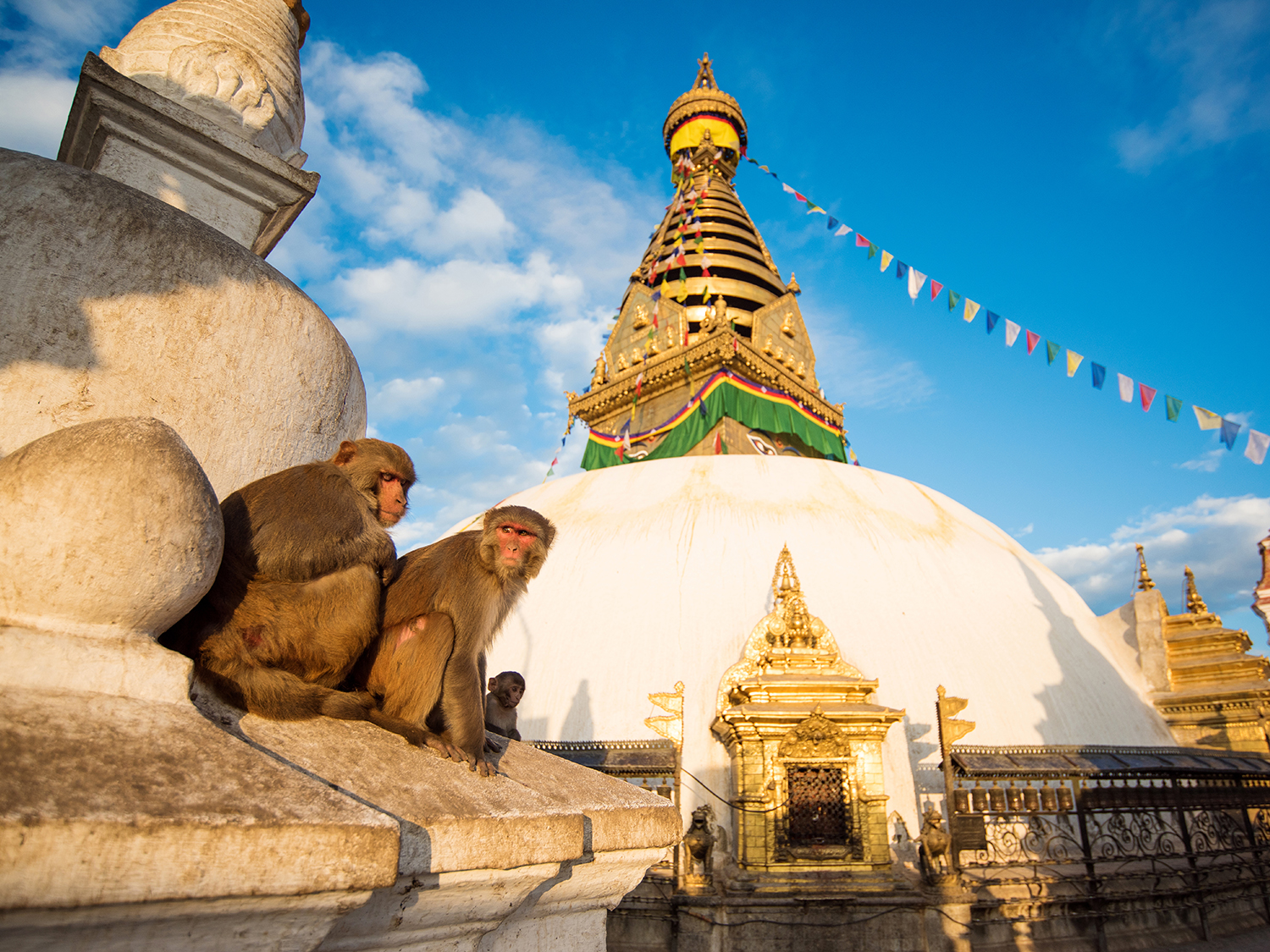 Highlights of Nepal Private Tour - 9 days 