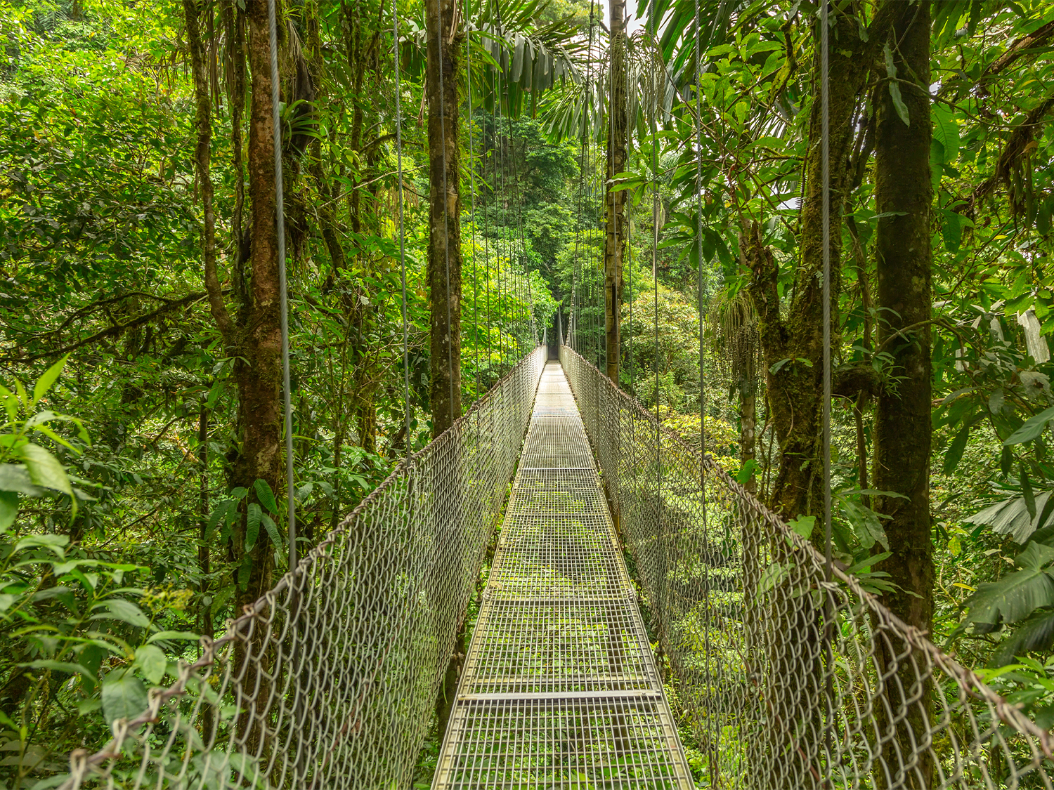 Costa Rica Youth Adventure - 12 days