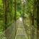 Monteverde - Costa Rica
