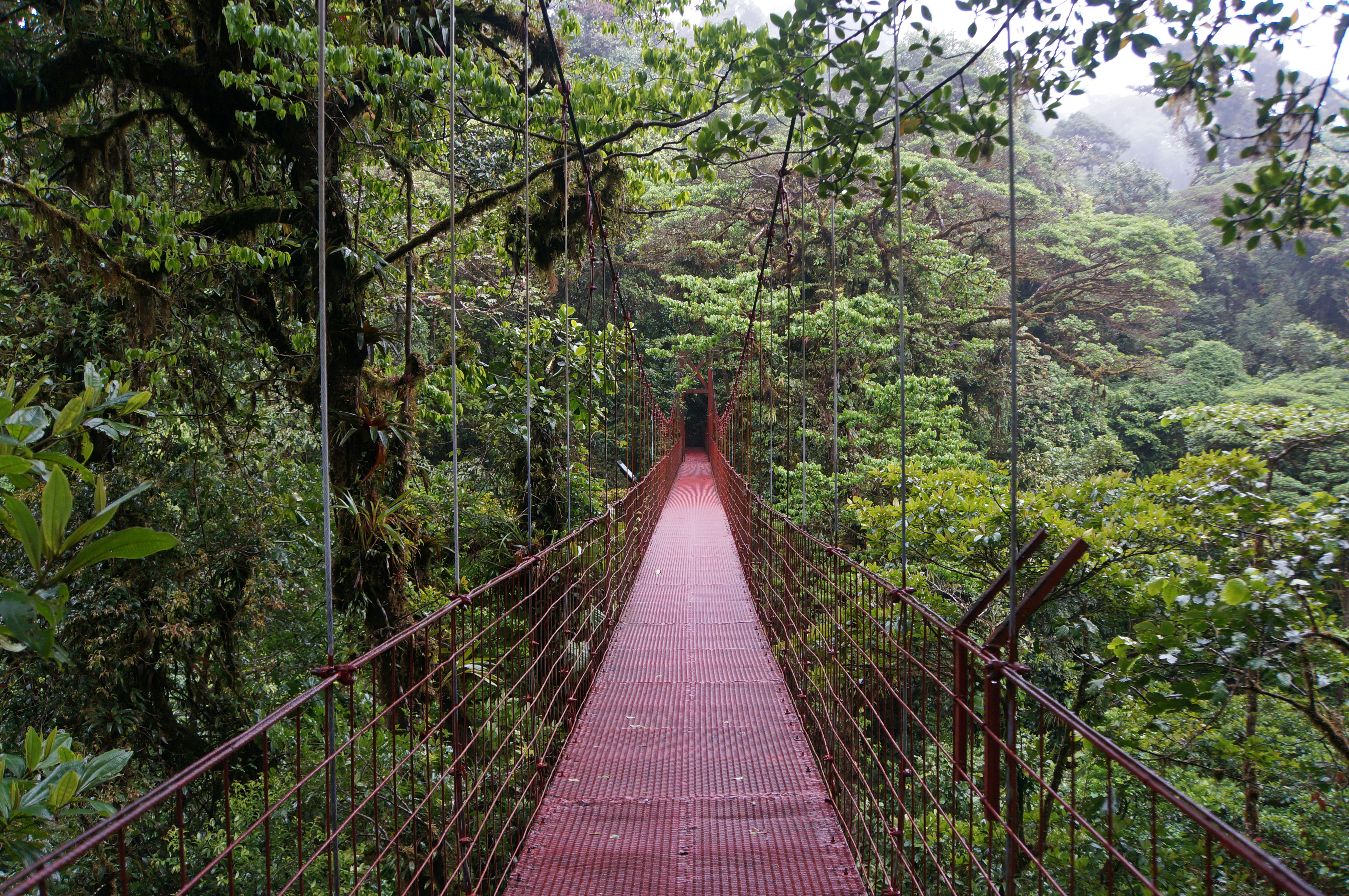 Days 7-8 - Monteverde