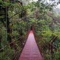 Sun rising over the verdant mountains of Monteverde