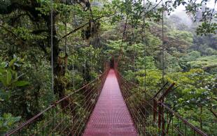 Monteverde Cloud Forest Costa Rica dreamstime_xxl_39486274