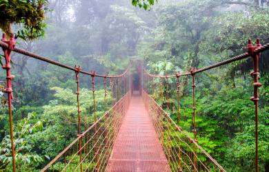 Monteverde Cloudforest | Costa Rica