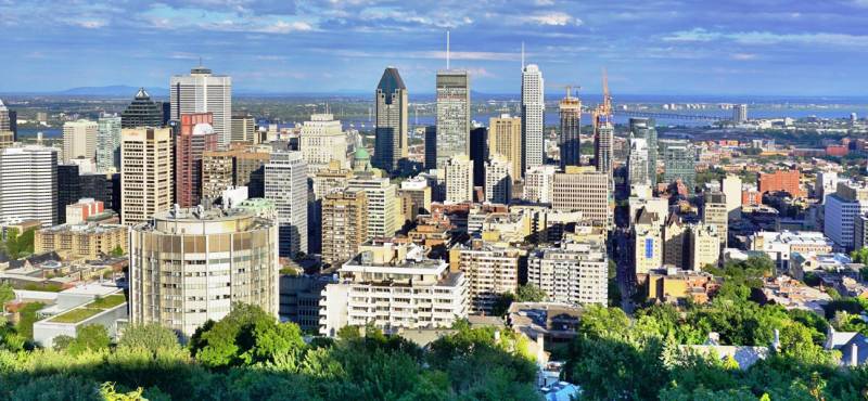 The skyline of Montreal with green trees and gleaming skyscrapers