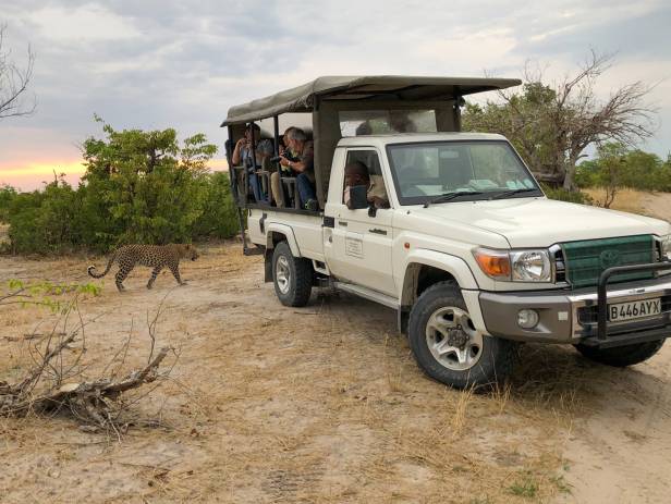 Hippose by the water at the Moremi Game Reserve