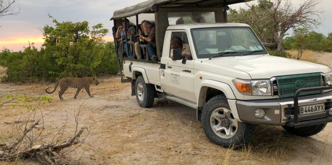 On safari in Moremi Game Reserve | Our mobile bush camp | Botswana | Africa | On The Go Tours