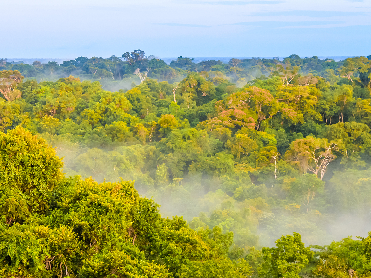 Manaus Amazon Express - 4 days