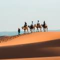 Shadows of camels on the sand in Merzouga