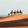 Camel trekking in the Sahara | Morocco