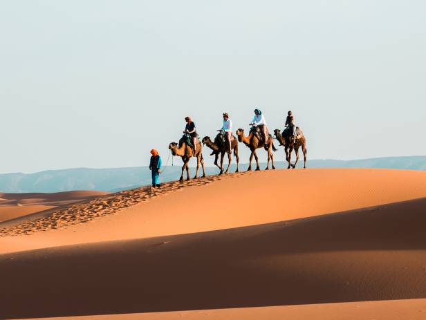 Shadows of camels on the sand in Merzouga