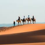 Camel trekking in the Sahara | Morocco