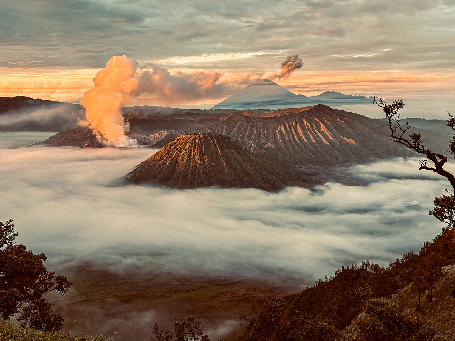 Day 2 - Mount Bromo Sunrise & Journey to Banyuwangi