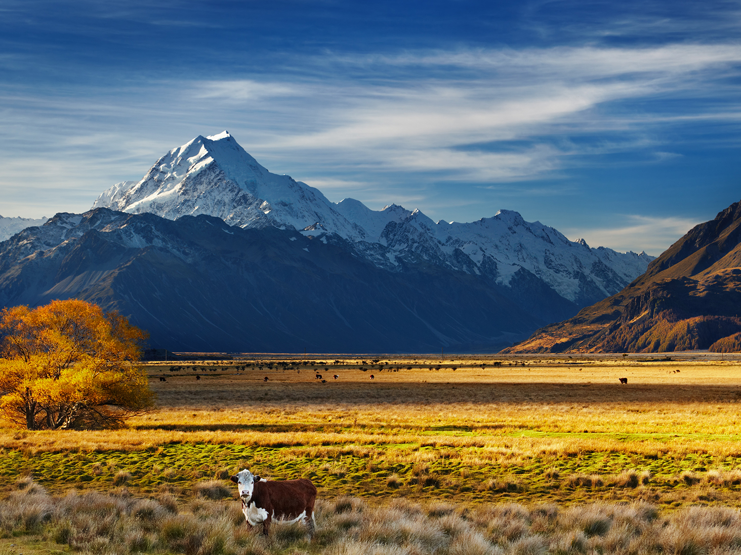 Day 11 - Queenstown
