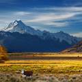 View of Queenstown - New Zealand - On The Go Tours