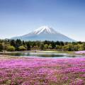 Mount Fuji dominating the landscape behind Lake Kawaguchi