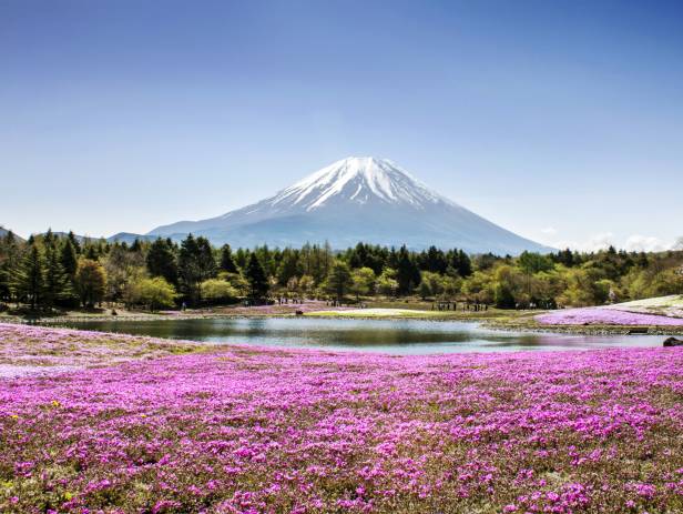 Mount Fuji dominating the landscape behind Lake Kawaguchi