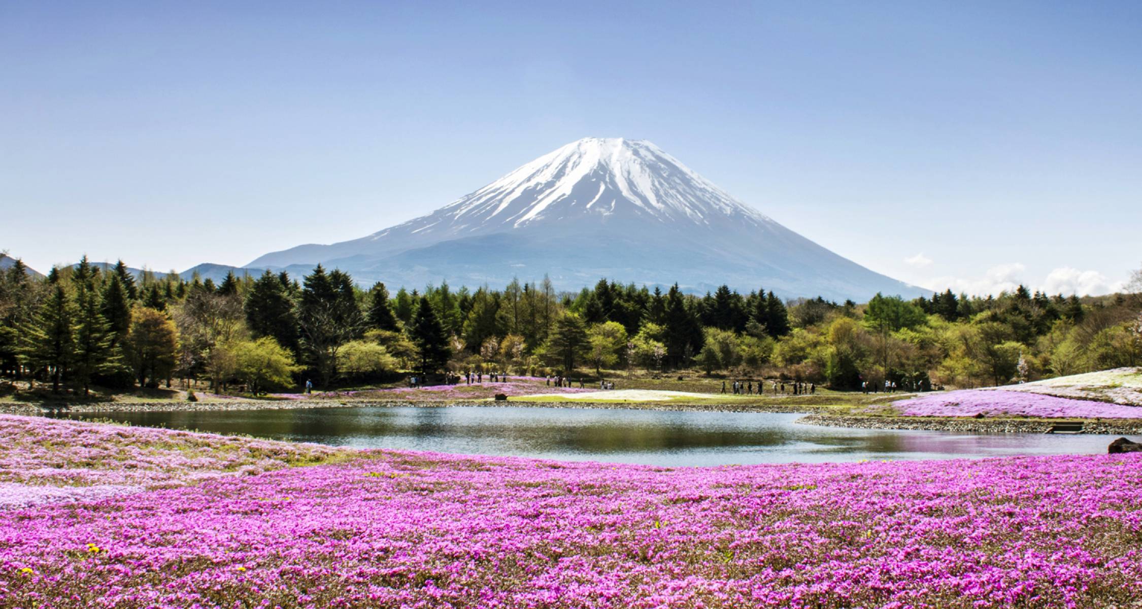 Best of Japan 8 Day Escorted Tour | On The Go Tours (From CA)