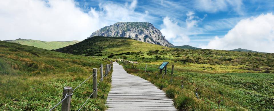 Mount Hallasan rising up in the distance, at the end of a boardwalk