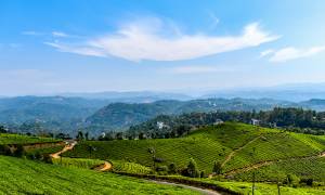 Munnar - India