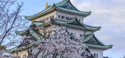 Nagoya Castle - Cherry blossoms in Japan - On The Go Tours