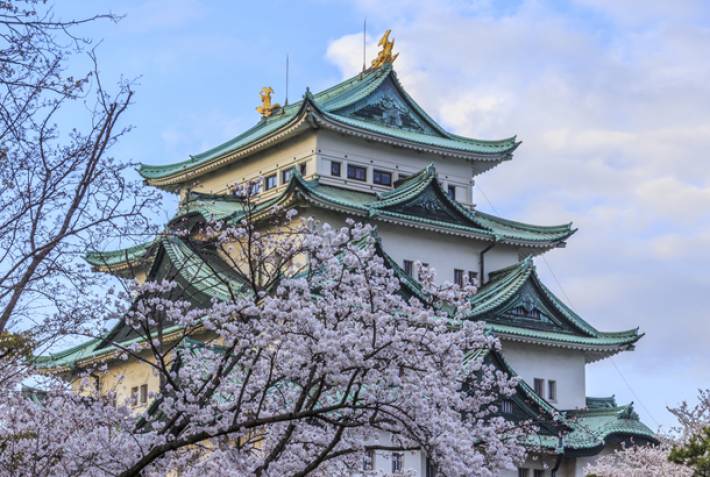 Nagoya Castle - Cherry blossoms in Japan - On The Go Tours