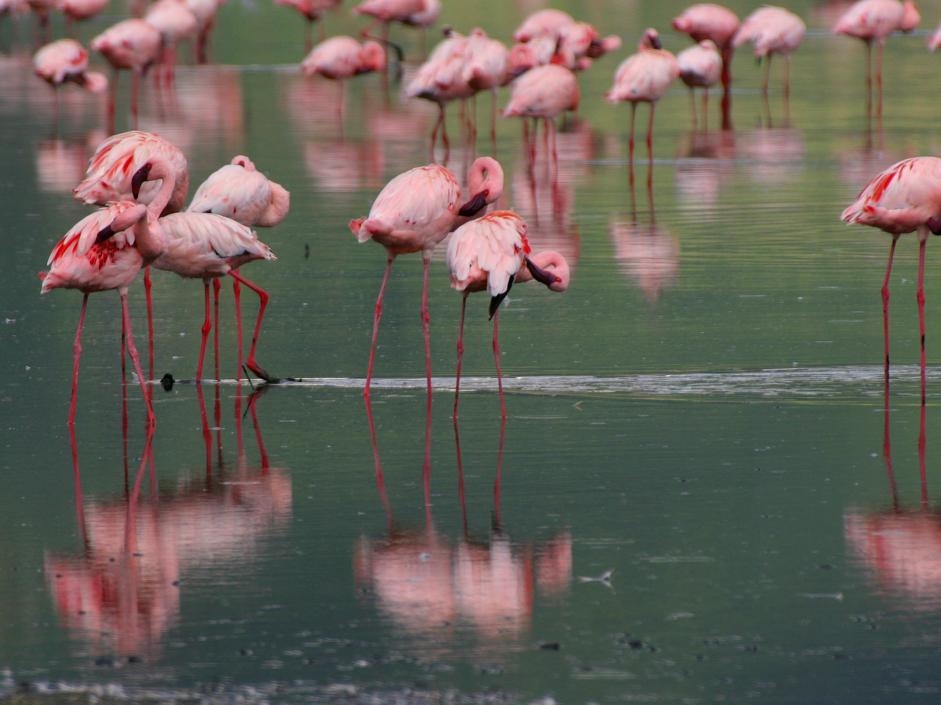 Day 1 - Nairobi