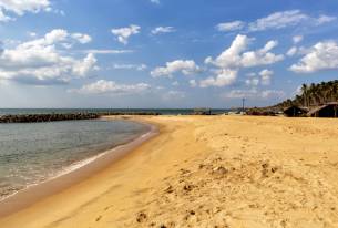 Negombo Highlight