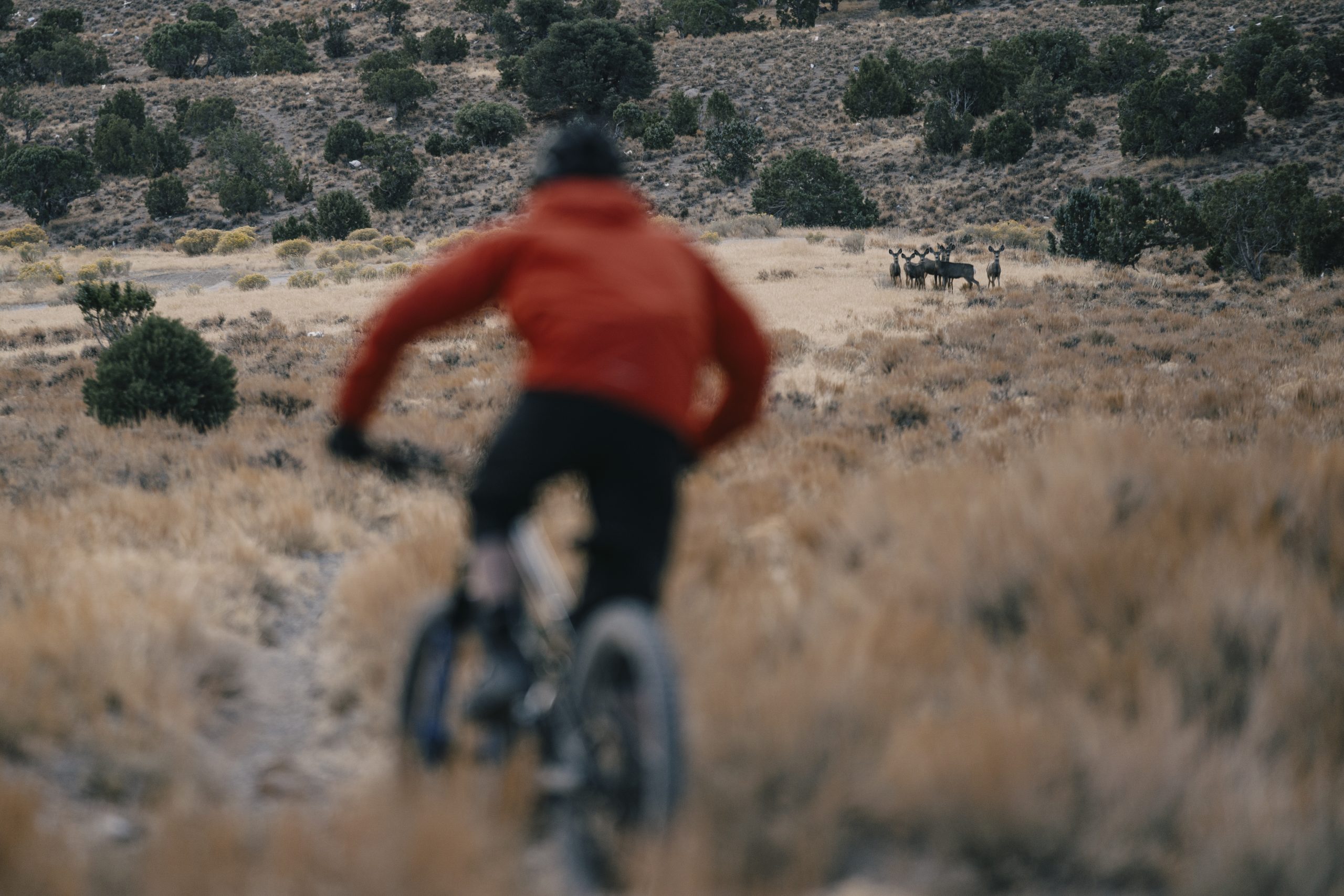 Nevada Hiking, Biking & Railroads - 7 days