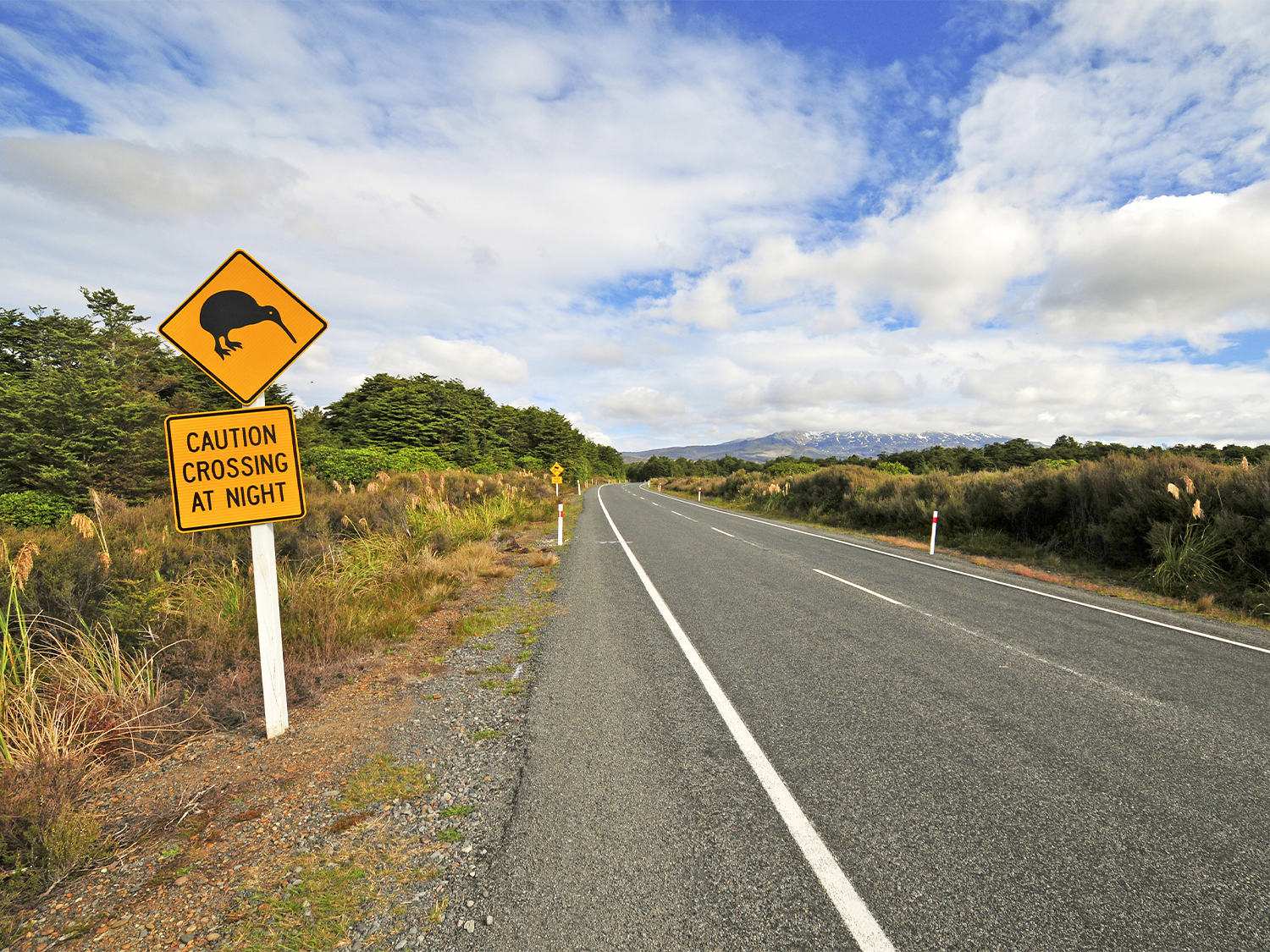 New Zealand Expedition - 23 days