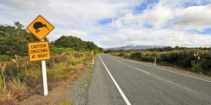 A kiwi road crossing sign | New Zealand