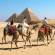 Camel trekking | The Pyramids | Giza | Egypt