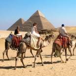 Camel trekking | The Pyramids | Giza | Egypt