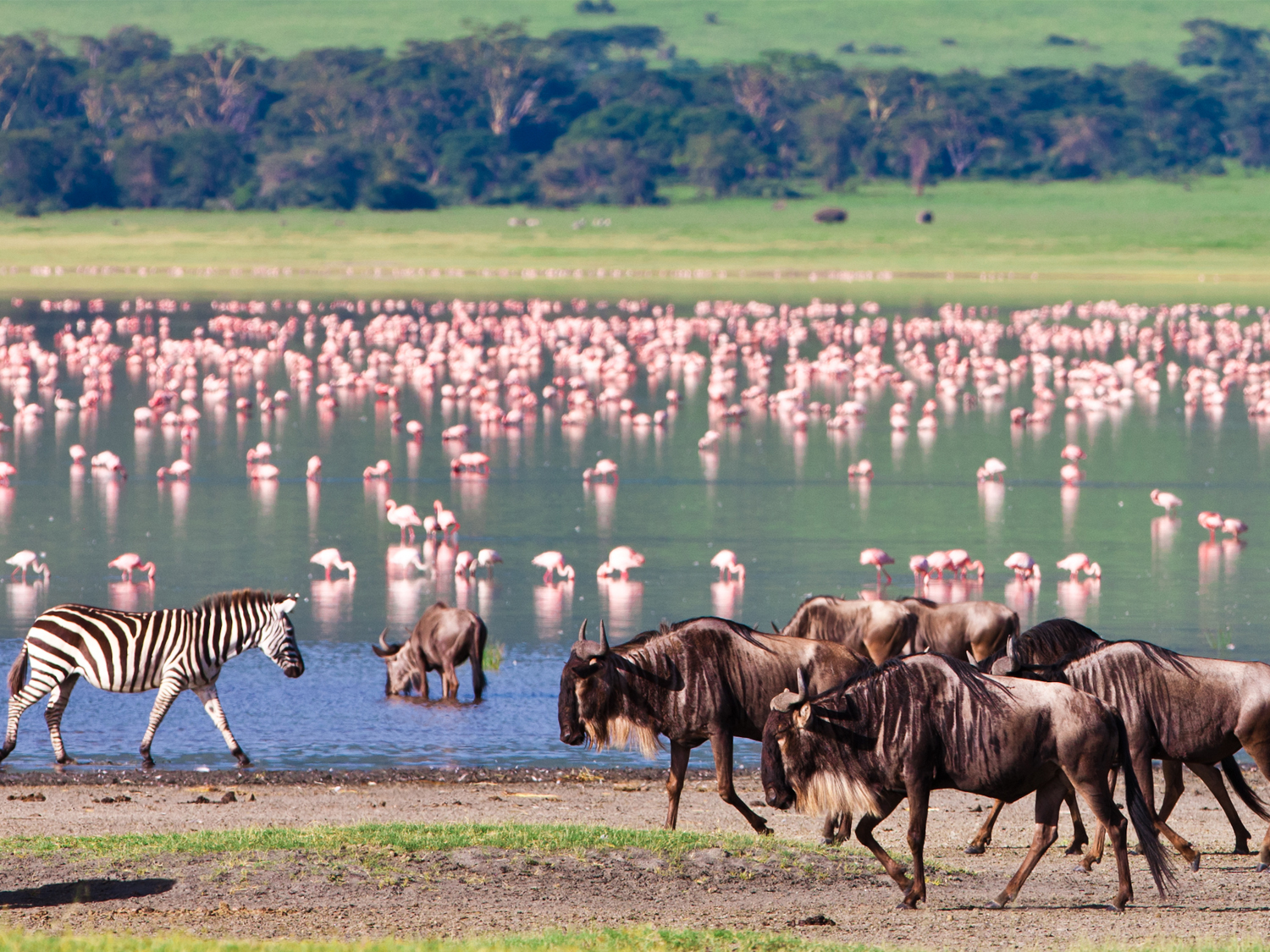 Days 21-22 - Ngorongoro Crater