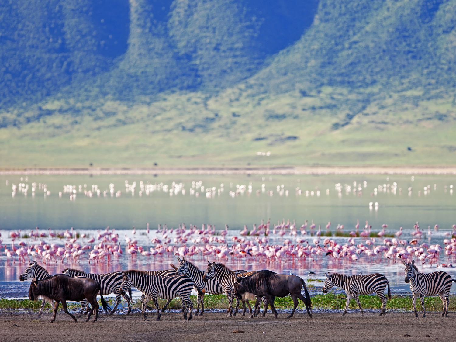 Day 6 - Ngorongoro Crater