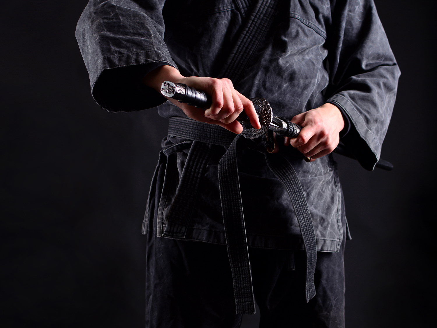 Ninja Experience add-on main image
