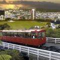 Wellington Oriental Bay - New Zealand - On The Go Tours