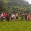 View of the verdant countryside in Sapa