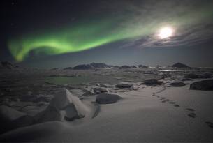 Northern Lights Night Rider - Greenland excursions - On The Go Tours