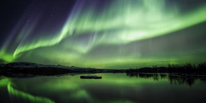 Northern Lights in Thingvellir National Park | Iceland