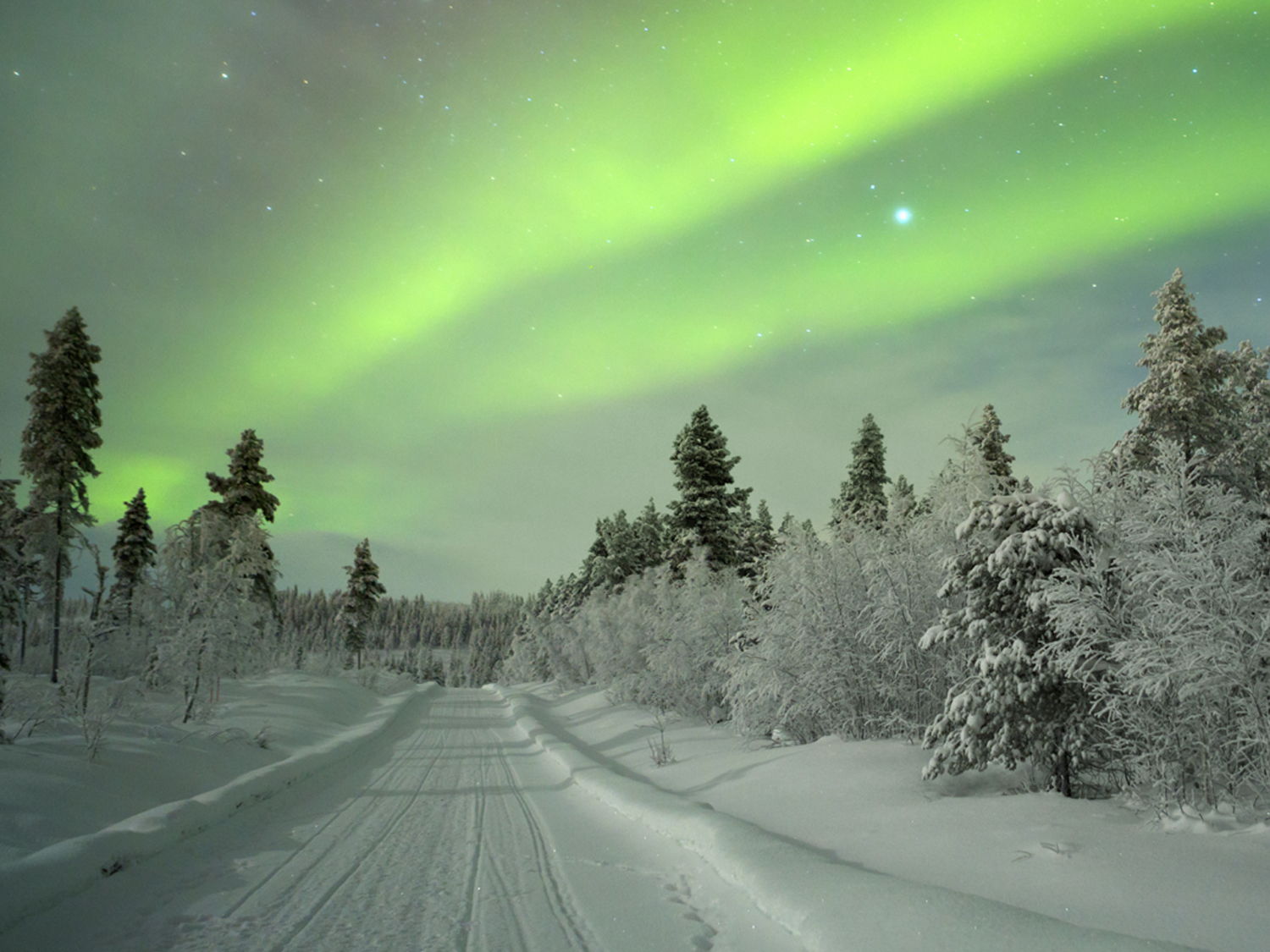 Northern Lights in Lapland | Finland